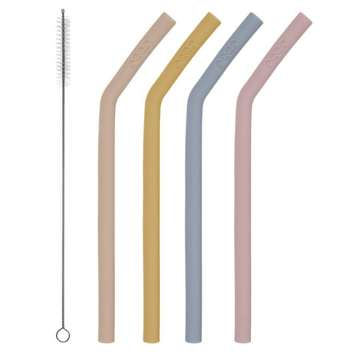 4 Palhinhas de Silicone com Escovilhão Reer