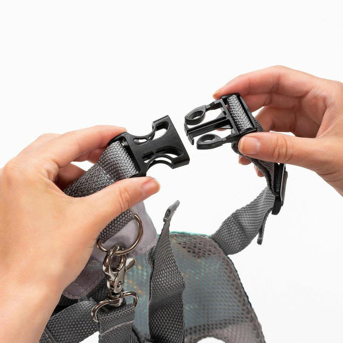 Arnês de Segurança Reer TravelKid Go Grey