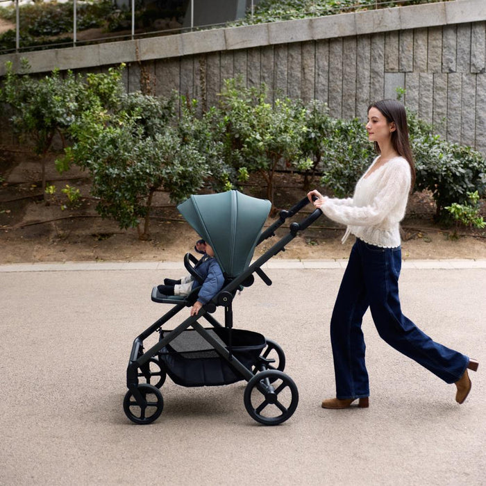 Carrinho Anex Modu Greeny