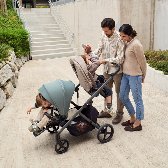 Carrinho Anex Modu Greeny