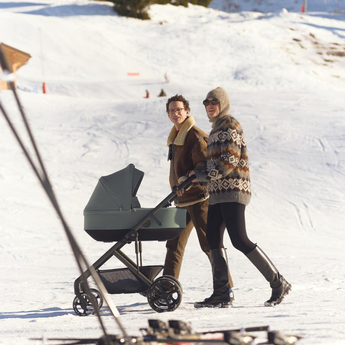 Carrinho Anex Modu Greeny