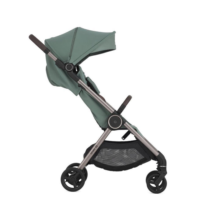 Carrinho Evolutivo Anex IQ Premium Olly