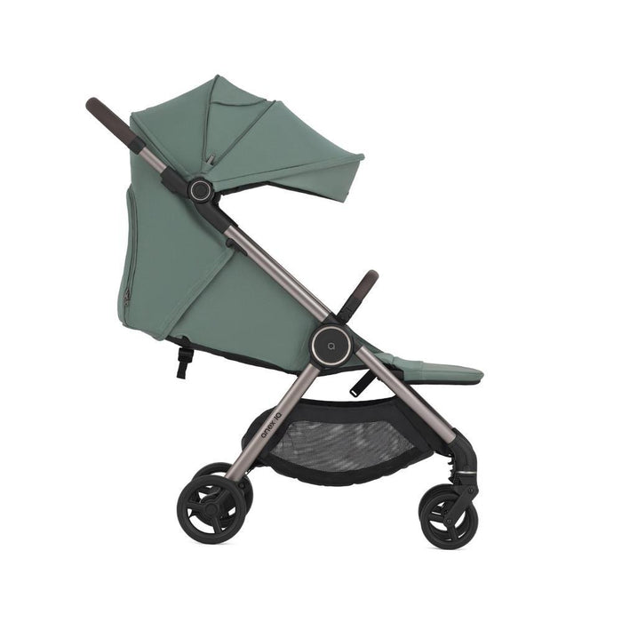 Carrinho Evolutivo Anex IQ Premium Olly