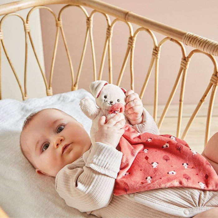 Doudou Kaloo Cão Rosa em Caixa