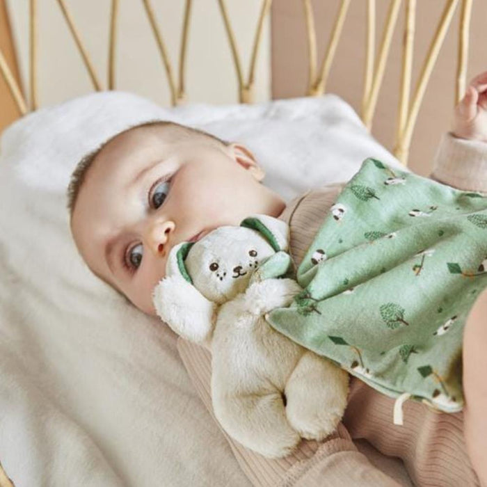 Doudou Kaloo Cão Verde em Caixa