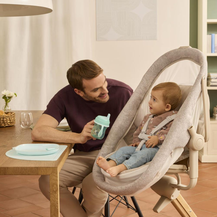Chicco Baby Hug Armonia 4em1 Scandinavian