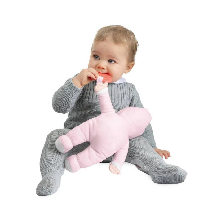 A Minha Primeira Boneca Chicco Rosa