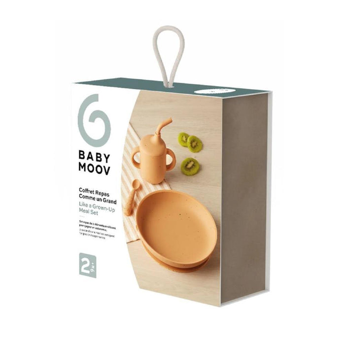 Conjunto de Refeição em Silicone Babymoov Little Arty