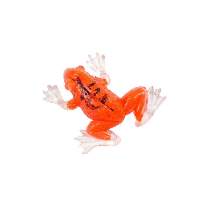 Sapo Stretch Squeeze Frog 30cm