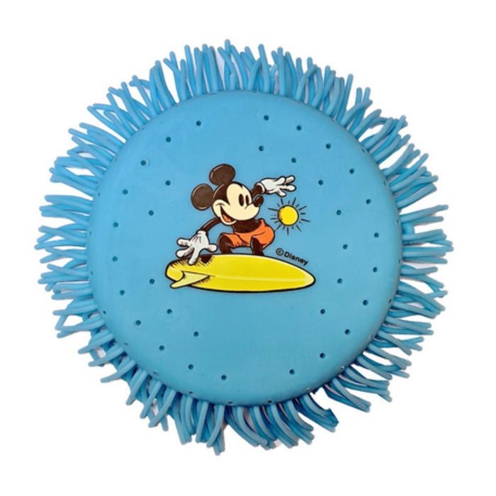 Disco Aquático Disney