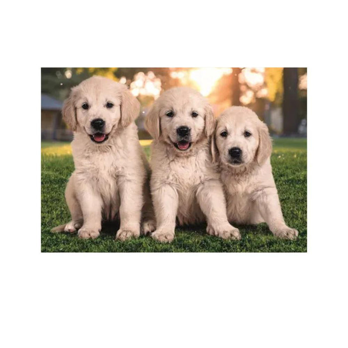 2 Puzzles Clementoni Brothers in Fur 60 Peças