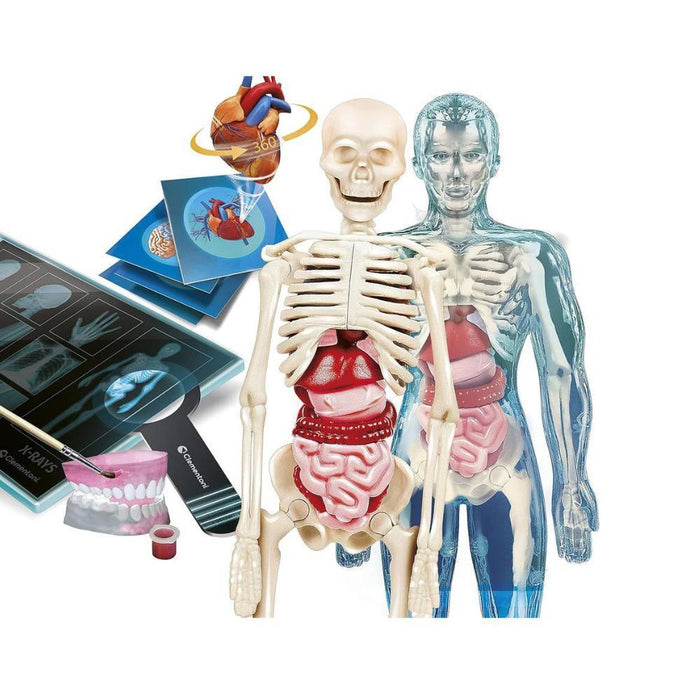 Clementoni Ciência&Jogo Super Anatomia