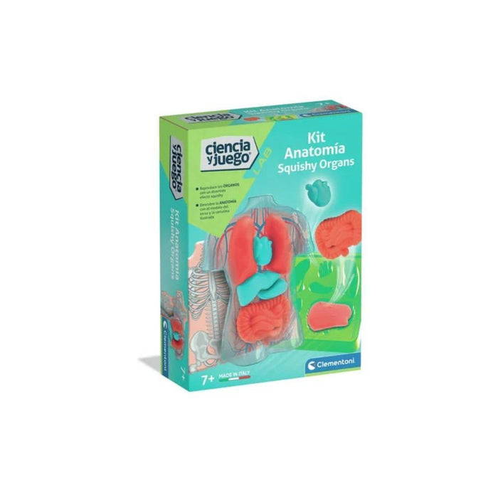 Kit Anatomia Squishy Clementoni Lab Ciência & Jogo