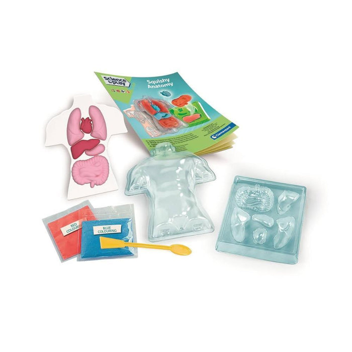 Kit Anatomia Squishy Clementoni Lab Ciência & Jogo