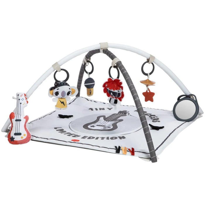 Gymini Rock With Me Gym