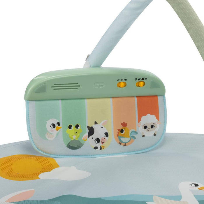 Ginásio Tiny Love Gymini Farmers Funday