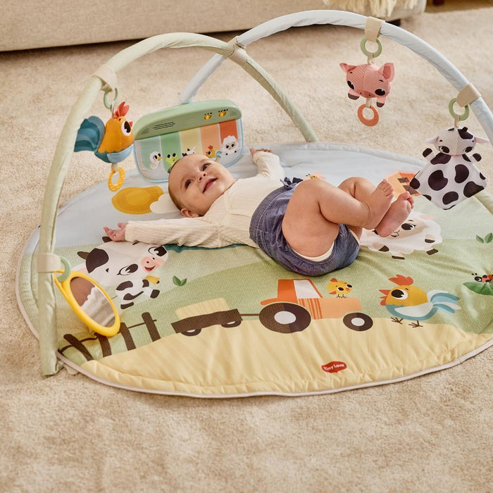 Ginásio Tiny Love Gymini Farmers Funday