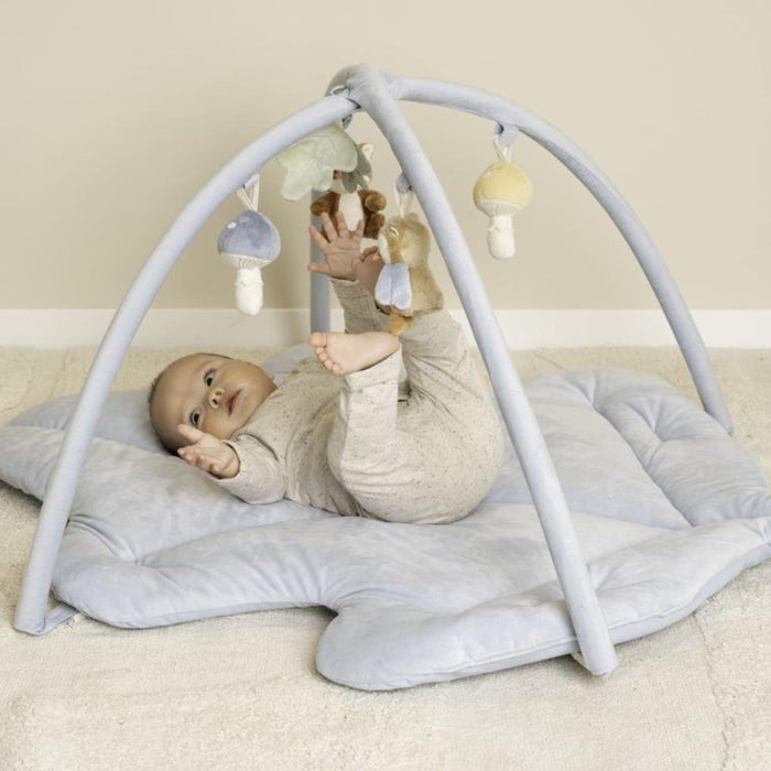 Ginásio e Tapete de Atividades Little Dutch Forest Friends