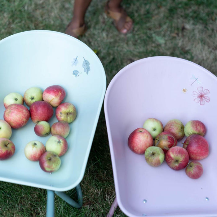 Carrinho de Mão em Metal Little Dutch Forest Friends