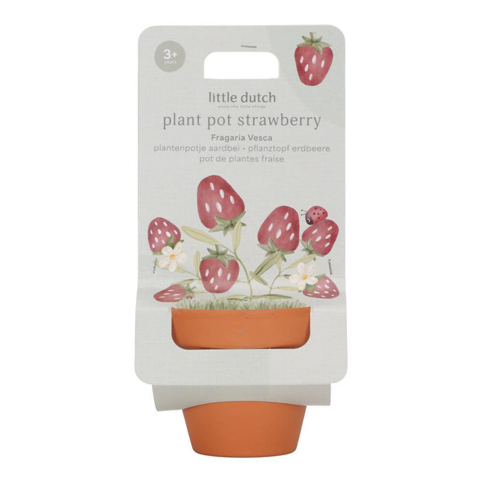 Vaso com Sementes Morango Little Dutch Forest Friend