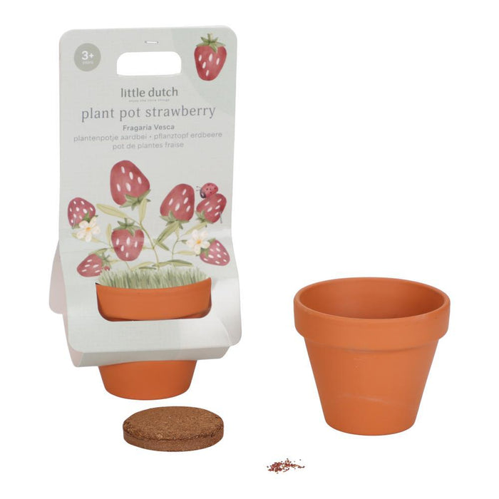 Vaso com Sementes Morango Little Dutch Forest Friend