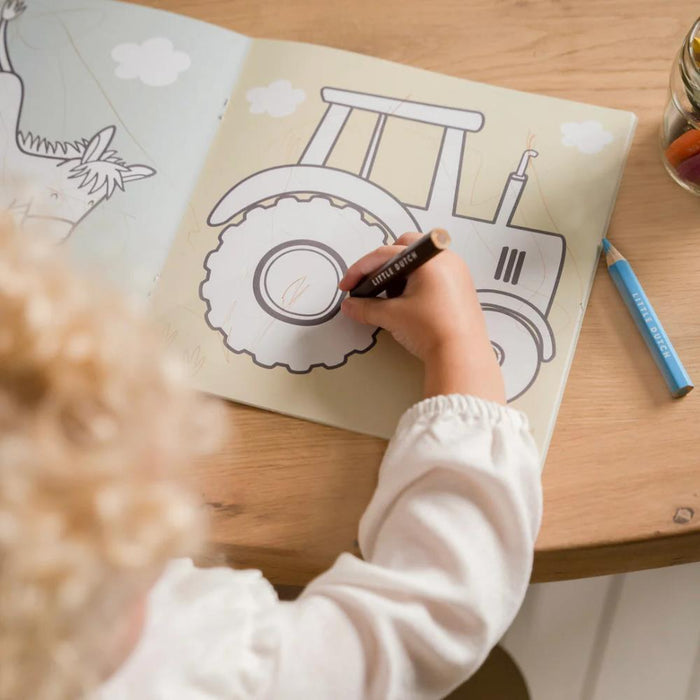 Livro de Colorir Little Dutch Little Farm