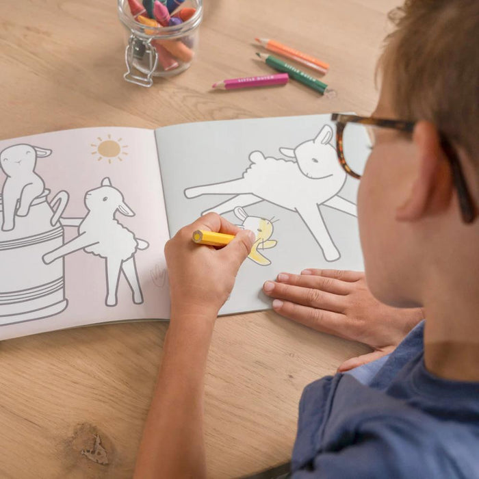 Livro de Colorir Little Dutch Little Farm