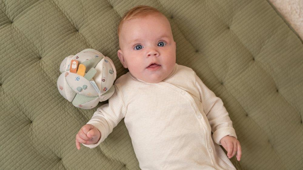 Bola de Atividades em Tecido Little Dutch Little Farm