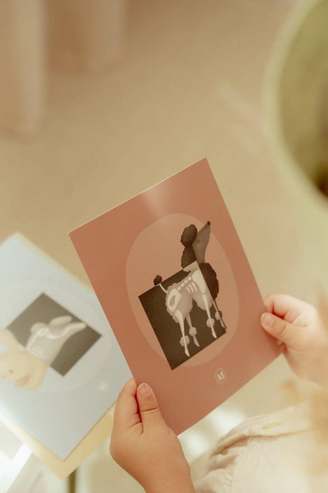 Clínica Veterinária em Madeira com Acessórios Little Dutch Green