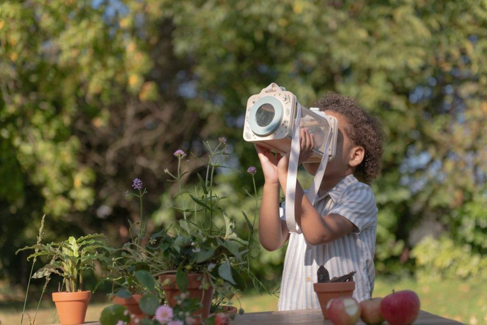 Caixa de Observação de Insetos Little Dutch Forest Friends