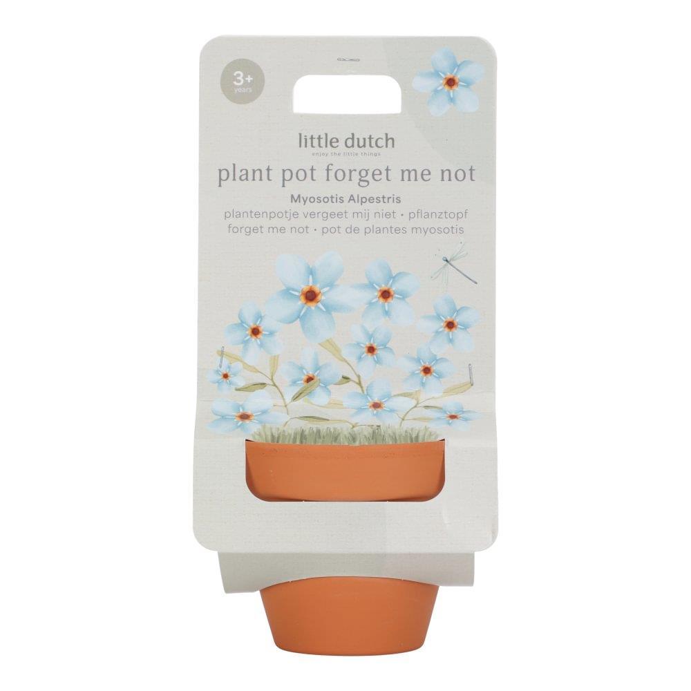 Vaso com Sementes de  Miosótis "Não Me Esqueças" Forest Friends