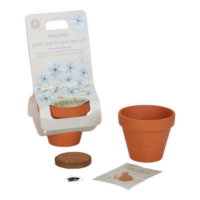 Vaso com Sementes de  Miosótis "Não Me Esqueças" Forest Friends