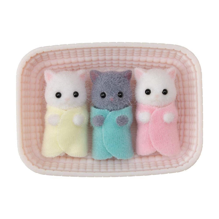 Triplets of the Persian Cat Family