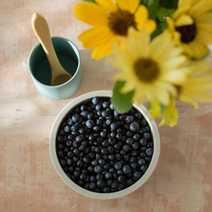 Taça em Silicone com Ventosa Baby Livia Blue 300ml