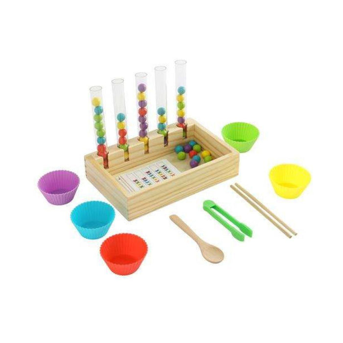 Jogo Montessori Organizar Cores Madeira