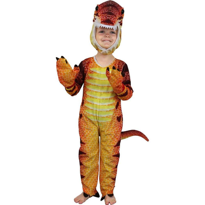 Dinosaur Costume 18-24 Months