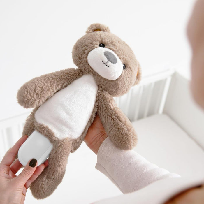 Despertador Educativo Zazu Brody the Bear Taupe