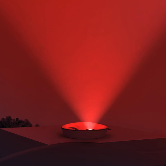 Luz de Presença Musical Zazu Emmy the Elephant