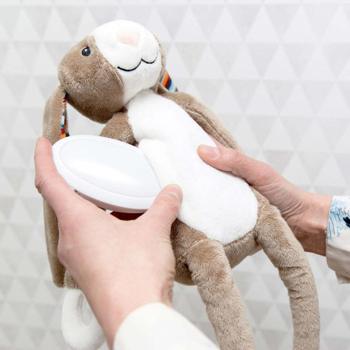 Peluche Musical Soft com Luz Zazu Bo the Bunny