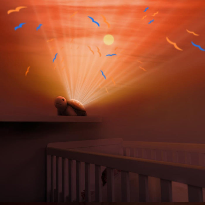 Peluche Projetor do Oceano com Música Zazu Tim the Turtle