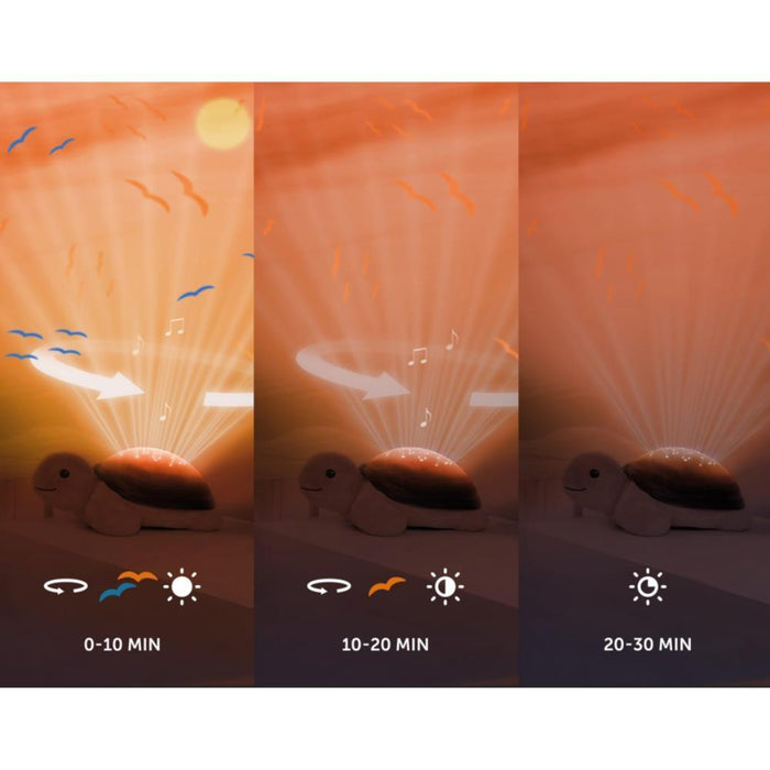 Peluche Projetor do Oceano com Música Zazu Tim the Turtle