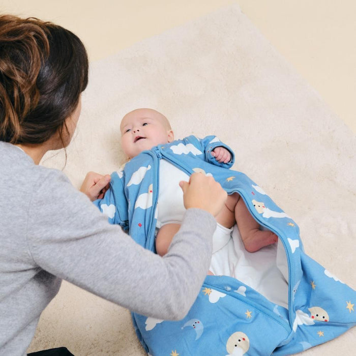 Saco de Dormir com Mangas Molis&Co Good Night 6-12m Tog 1.0