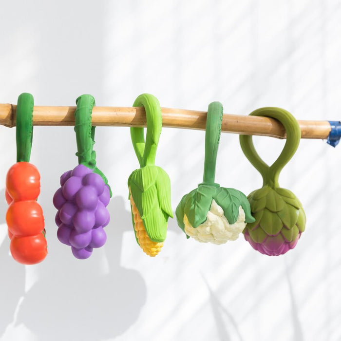 Roca Mordedor Oli & Carol Cauliflower