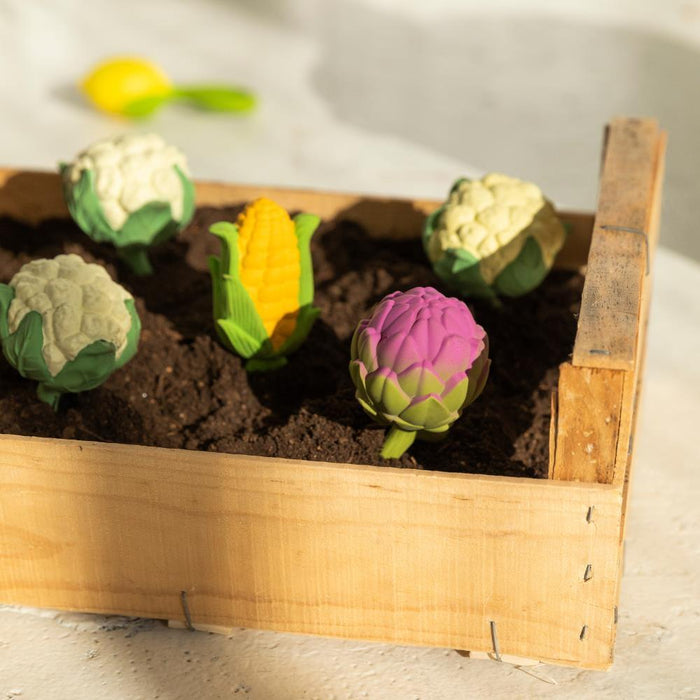 Roca Mordedor Oli & Carol Cauliflower