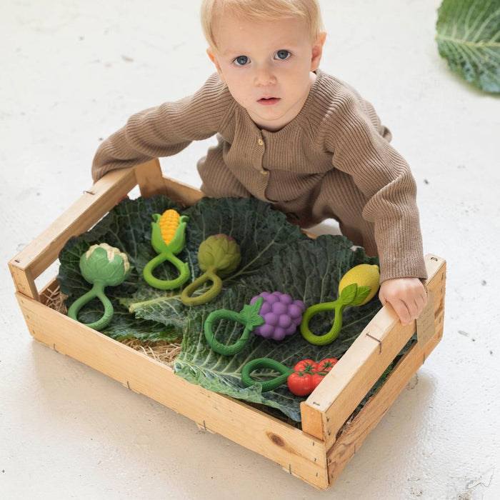 Roca Mordedor Oli & Carol Cauliflower