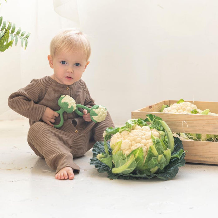 Roca Mordedor Oli & Carol Cauliflower