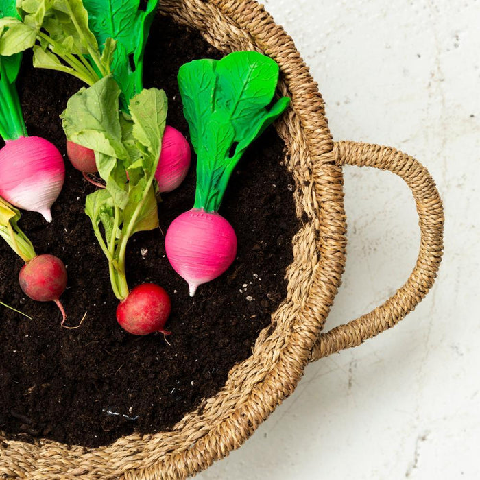 Mordedor Oli & Carol Ramona The Radish
