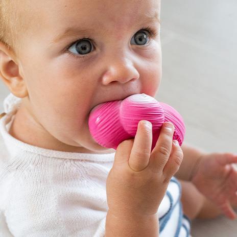 Doudou e Mordedor Oli & Carol Ramona The Radish