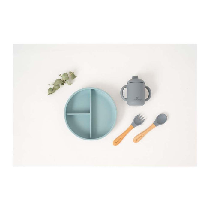 5 Piece Blue Silicone Feeding Set