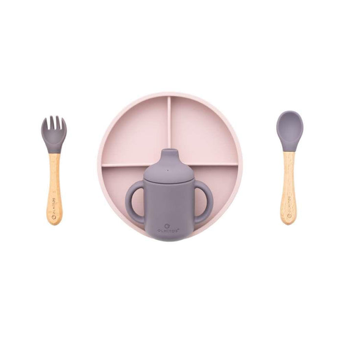 5 Piece Pink Silicone Feeding Set